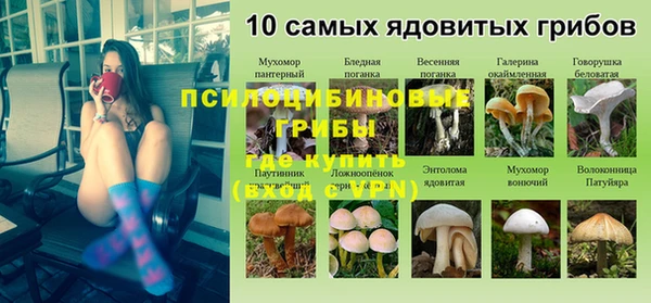 первитин Алексин