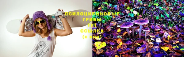 первитин Алексин