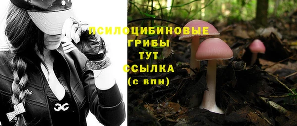 первитин Алексин